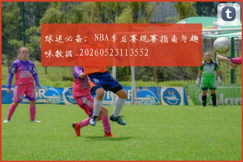 球迷必备：NBA季后赛观赛指南与趣味数据_20260523113552